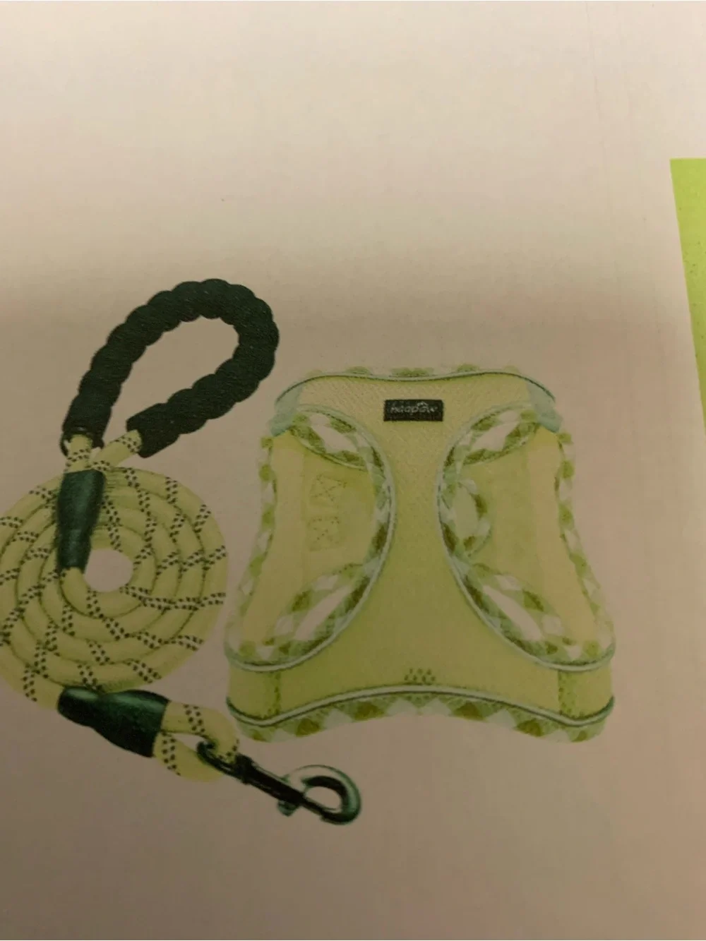 Haapaw Beige Diamond-Trim Pet Harness with Matching Leash